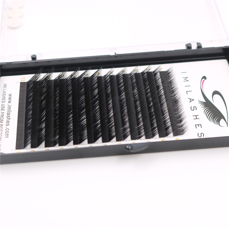 how much are natural false eyelashes extensions-D